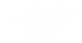 Weißes Logo der shapefruit AG - Marketingagentur